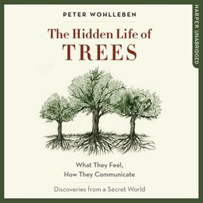 The Hidden Life of Trees thumbnail