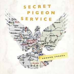 Secret Pigeon Service thumbnail