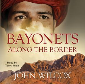 Bayonets Along The Border thumbnail