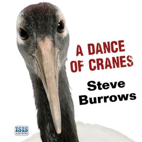 A Dance of Cranes thumbnail