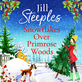 Snowflakes Over Primrose Woods thumbnail