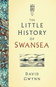 The Little History Of Swansea thumbnail