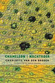 Chameleon/Nachtroer thumbnail