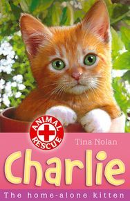 Charlie The Home-Alone Kitten thumbnail