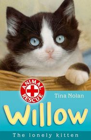 Willow The Lonely Kitten thumbnail